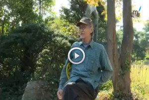 창창인생-조성묵-작가-인터뷰-300x203