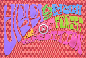 영상_폼-300x204