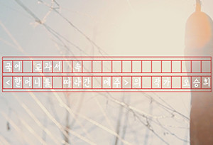 213-사본-300x204