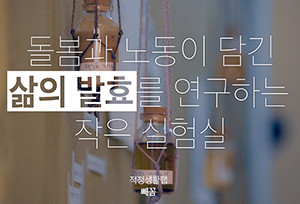 11-사본-300x204