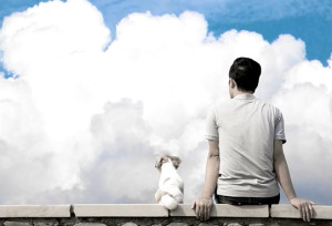 영상_폼3-300x204