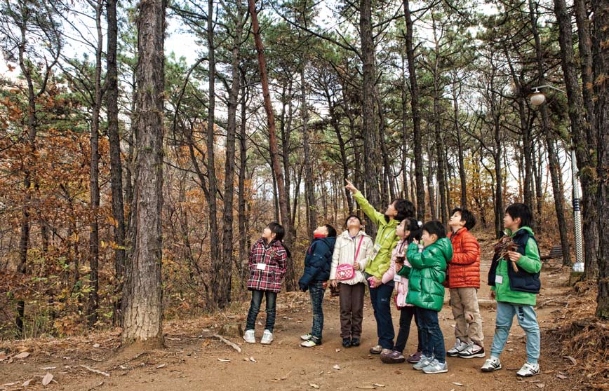 숲쟁이