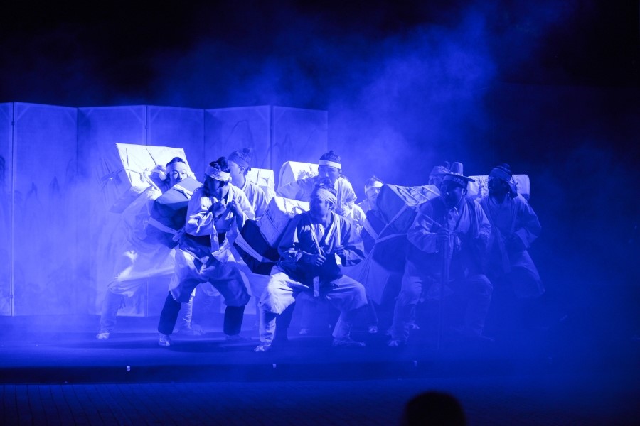 PAFE 2012