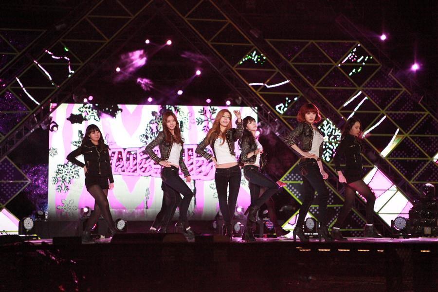 2012 임진각 제야행사