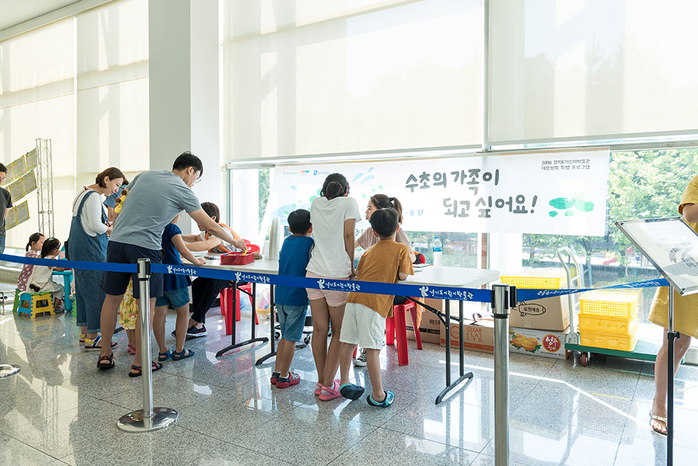 경기도어린이박물관 여름방학 프로그램