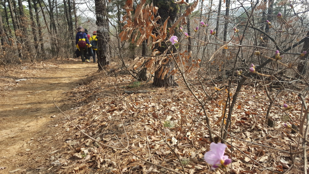경기옛길 지역커뮤니티 연계행사