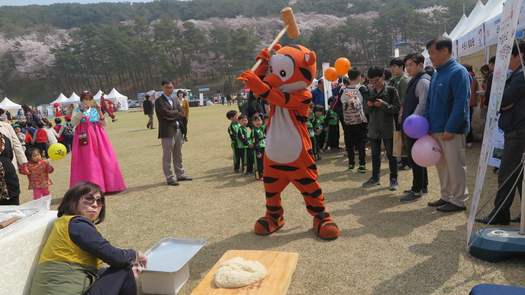 경기도청 벚꽃행사 문화유산부스