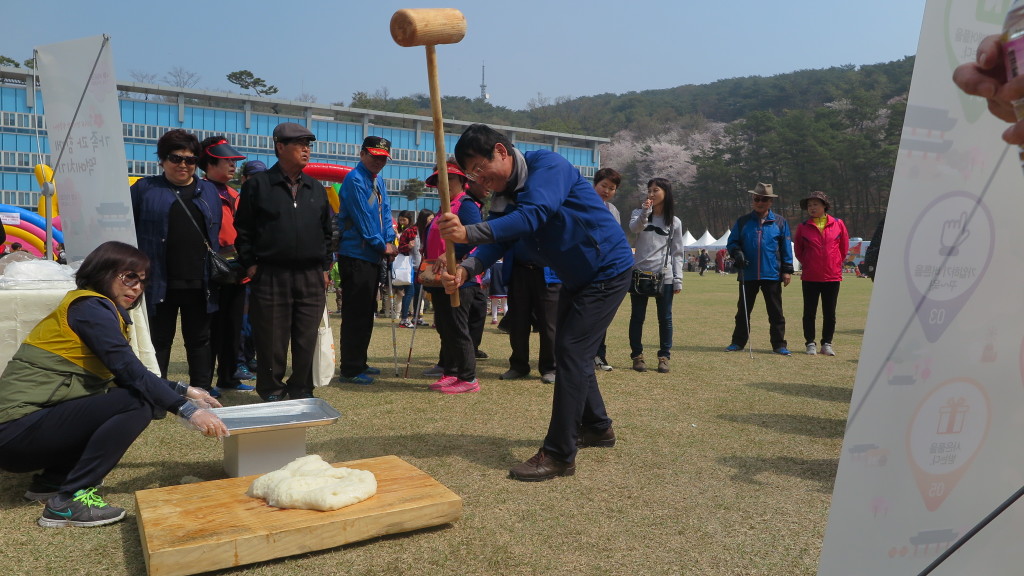 경기도청 벚꽃행사 문화유산부스