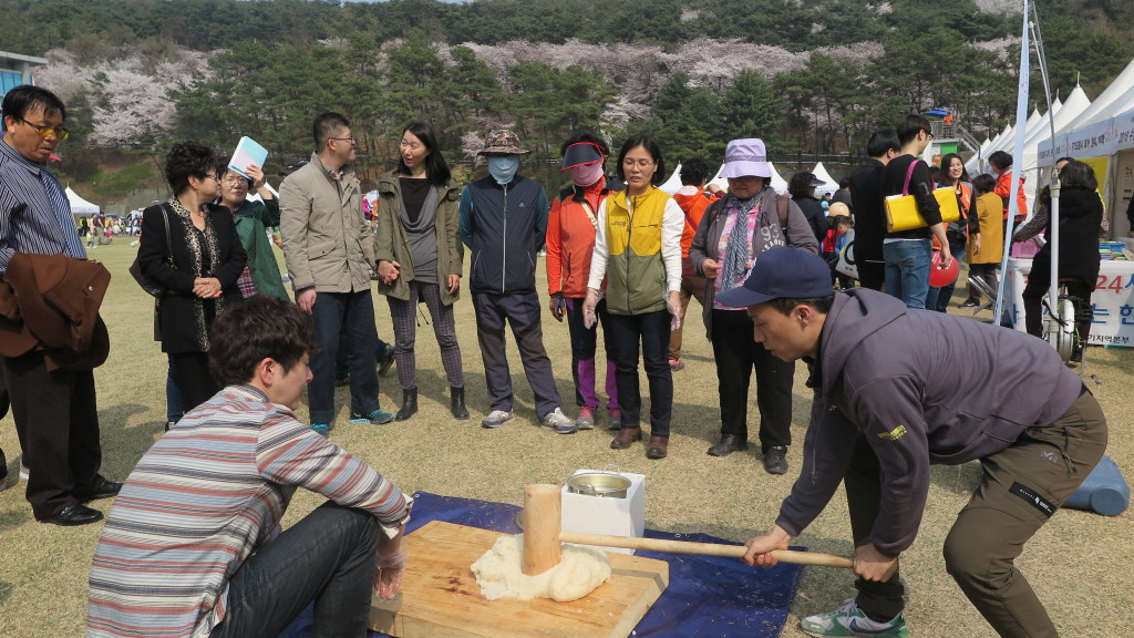 경기도청 벚꽃행사 문화유산부스