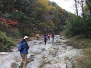 2016.10.28~11.5 경기옛길 아카데미